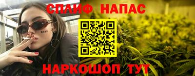 прущие грибы Новоалександровск