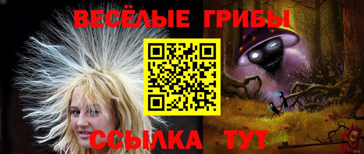 Галлюциногенные грибы Magic Shrooms Коряжма